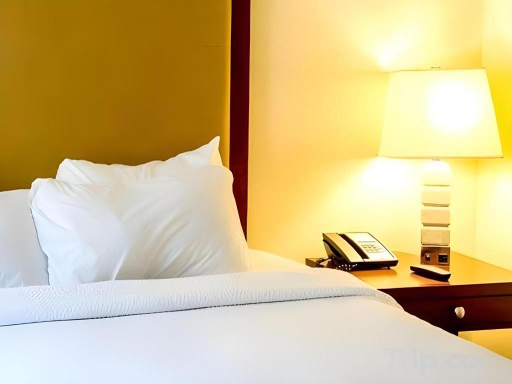 Motel 80 Окленд Екстер'єр фото